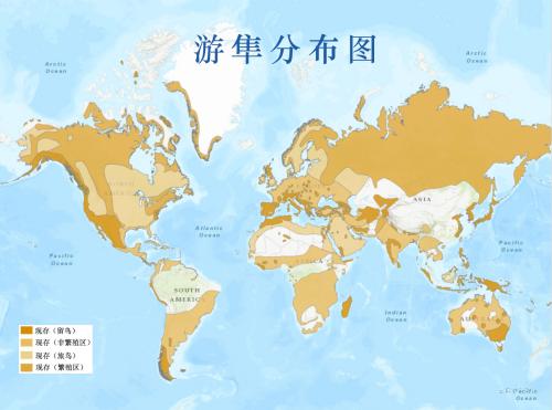 空中十大猛禽排行榜,世界前十猛禽排名图表