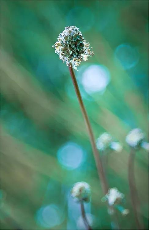 善忘是人生最高级的修行,善忘是什么境界