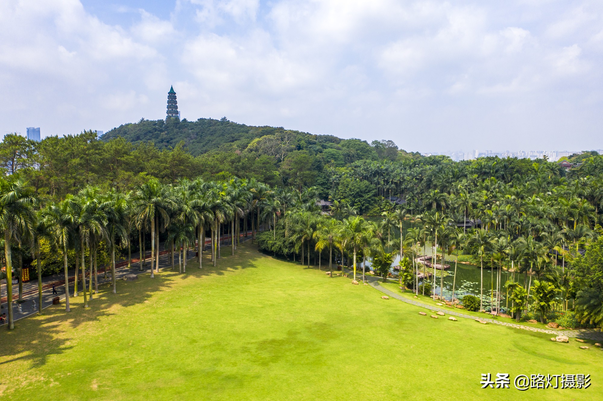 中国绿都之城,中国绿都图片