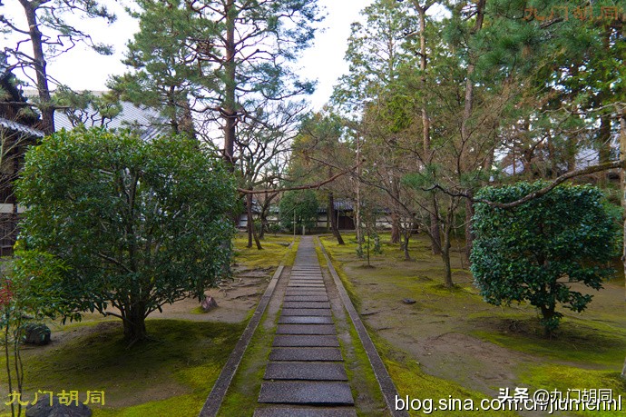 京都大德寺的庭院,织田信长墓地图片大全