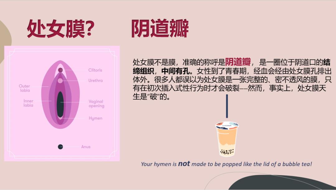 性教育卫生巾,性卫生教育