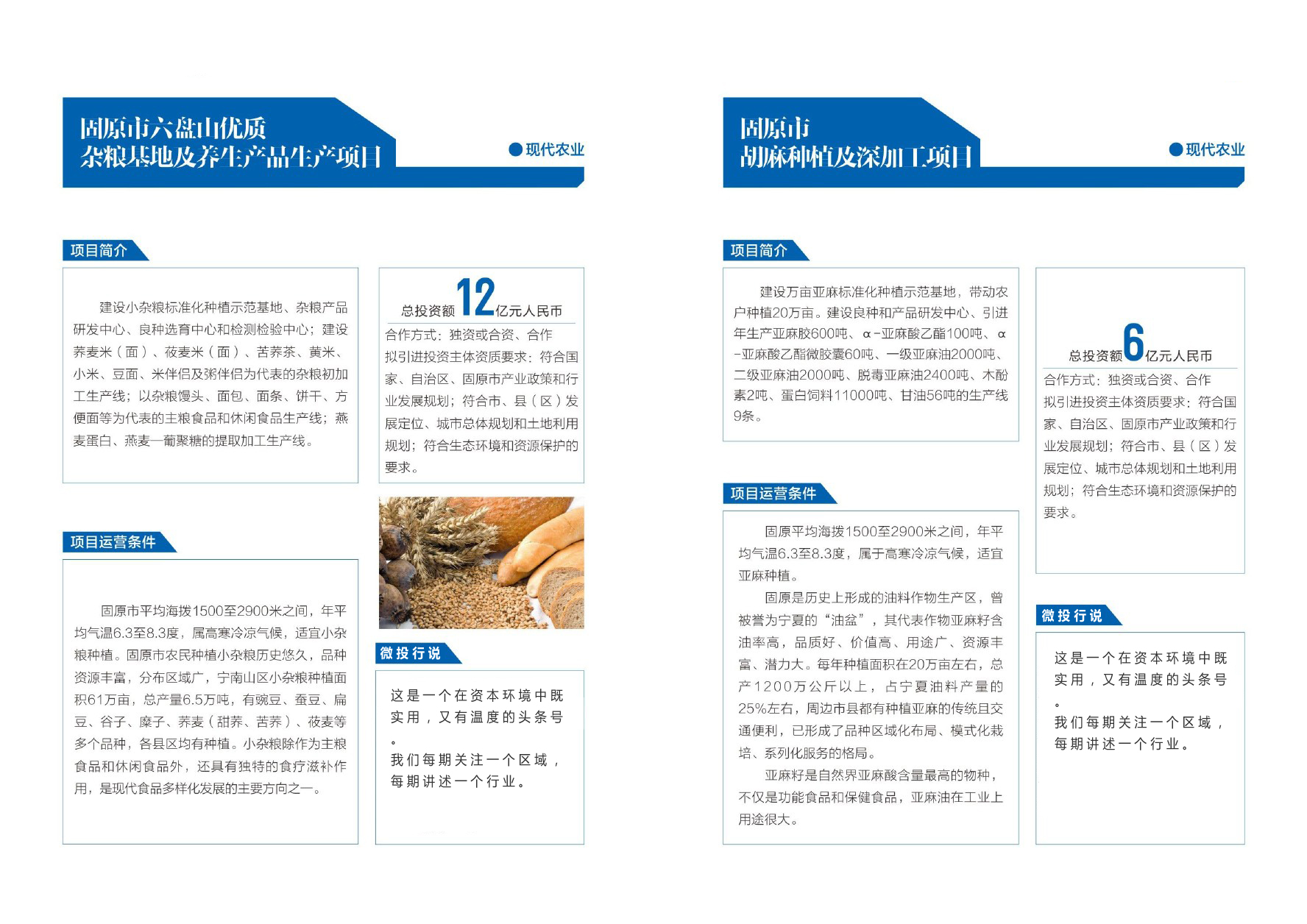 优选宁夏23个农业投资项目丨墨瑞鳕鱼、种子、巴士奶、牡丹、冷蔬