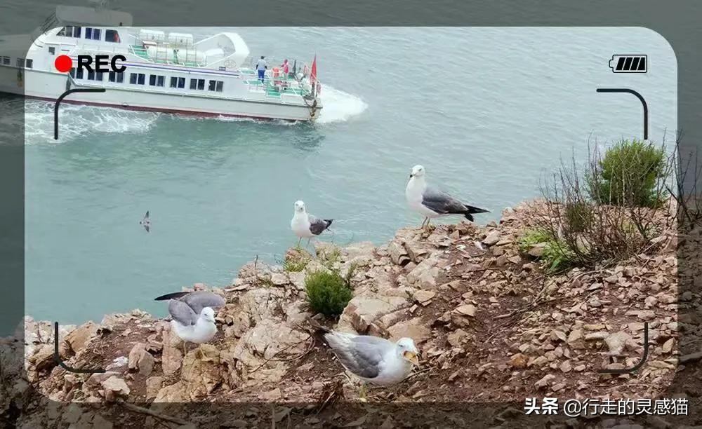 山东威海海驴岛攻略,山东海驴岛旅游攻略