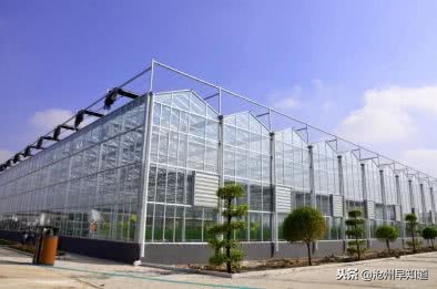 沧州旅游攻略必玩的景点冬天,沧州游玩攻略必去景点