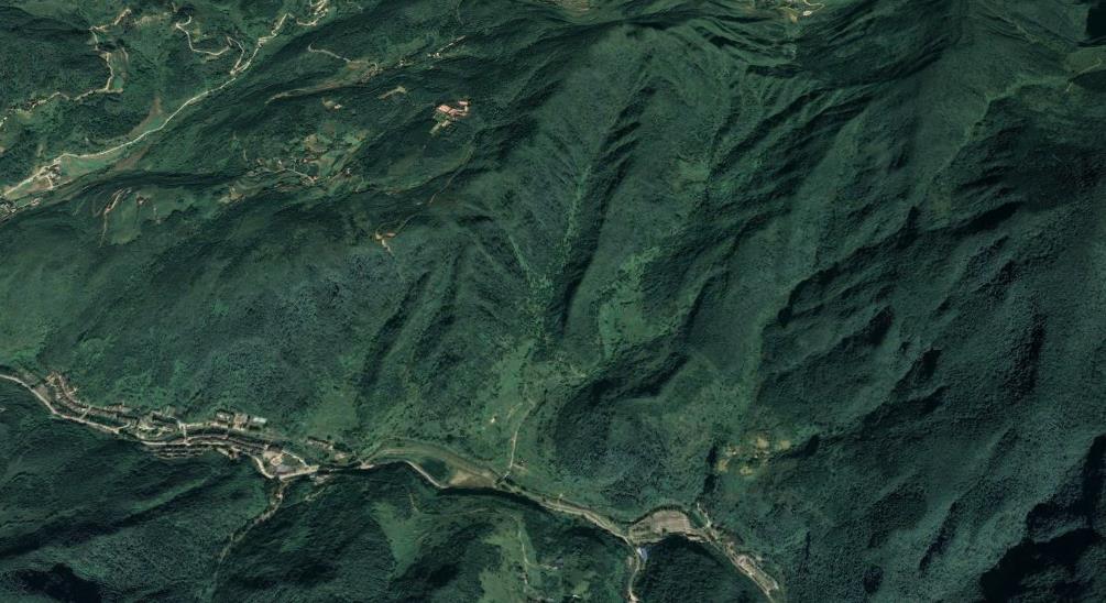 今日南川金佛山风景,重庆南川金佛山地图