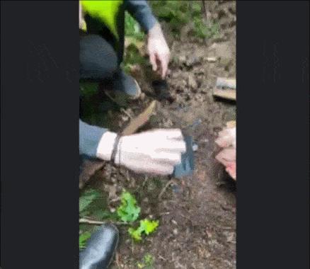 邪恶冥刻steam排行多少,steam邪恶冥刻正版和试玩区别