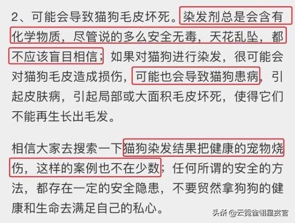 美国28岁女子被自家宠物狗咬死,美国23岁女孩遭虐待