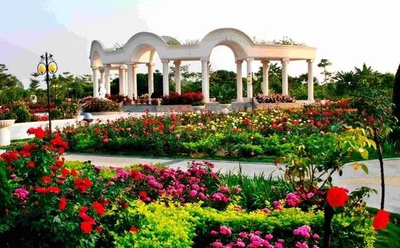 偷偷告诉你驴友们常去的从化小众特色小镇~比森林公园更美更好玩