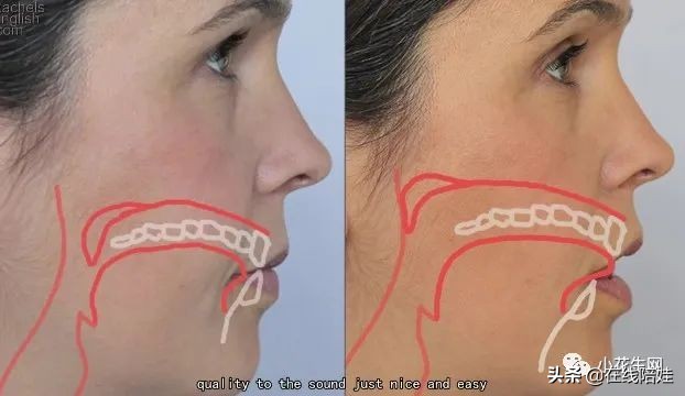 干货满满的英语语法课程,纯正美语发音及口语教程图片