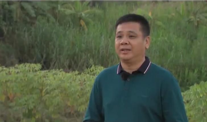 种20亩新会柑一年赚多少钱,回乡创业种植柑橘