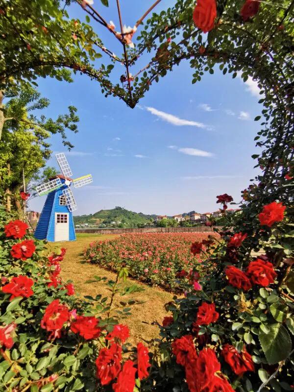 手拍世界微信公众号,手拍世界完整版视频