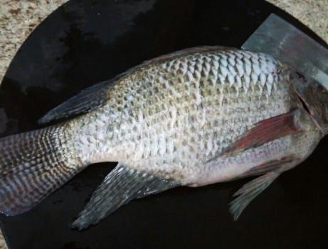 炖鱼之前怎么腌鱼去腥,炖鱼加醋好还是加酱油好