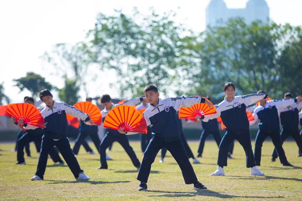 佛山优质教育展直播,佛山首届教育嘉年华来袭