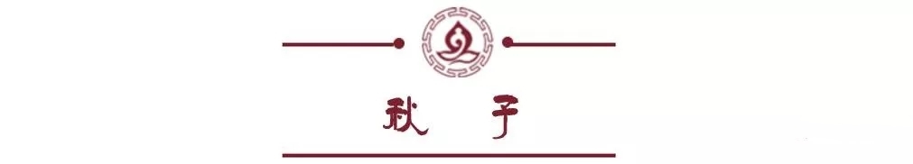 文玩核桃官帽和狮子头区别,文玩核桃官帽与狮子头区别