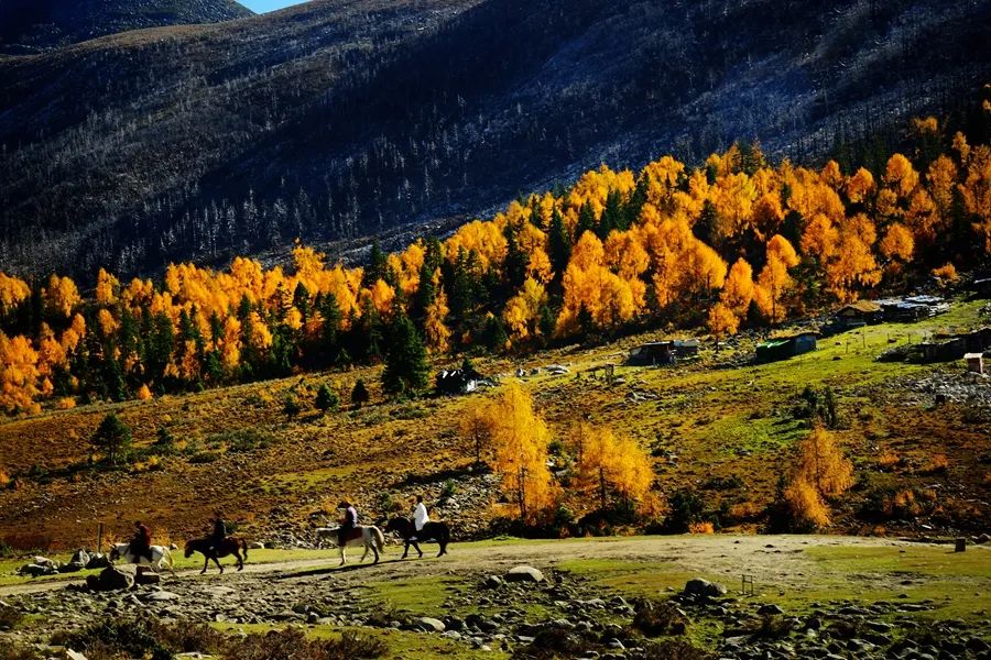 四川木格措旅游自驾游攻略2天,成都自驾到木格措旅游攻略