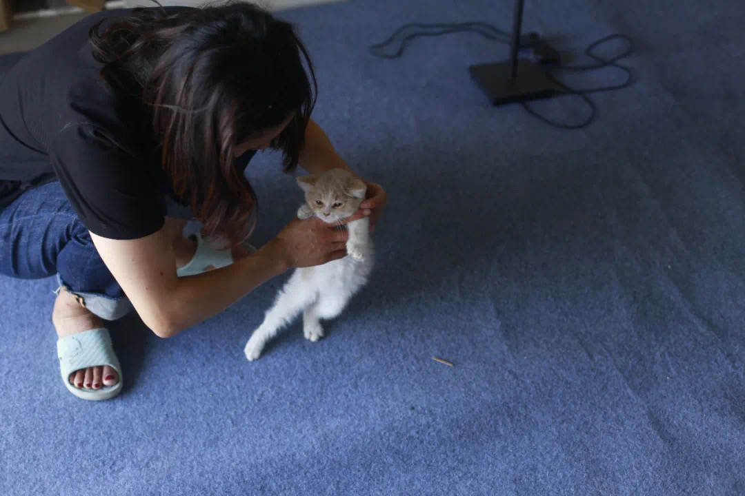 95后女孩，打工10年，首付28万买毛坯房，却被骂上热搜，为啥？