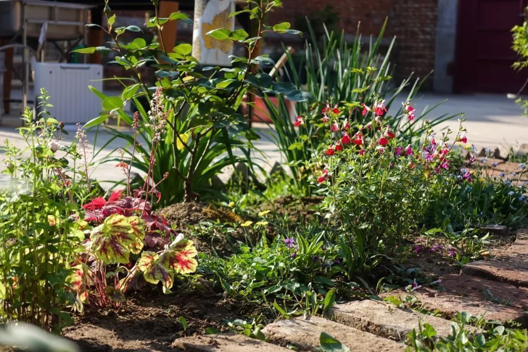 陆庆松:螺丝不肯拧紧