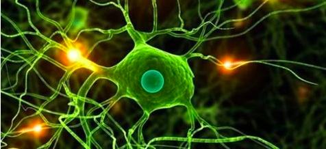 内陆太攀蛇是地球最毒的毒蛇，为什么致死率却是0？