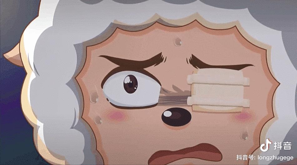 喜羊羊与灰太狼的电影虎扑评分,喜羊羊虎扑纪录片