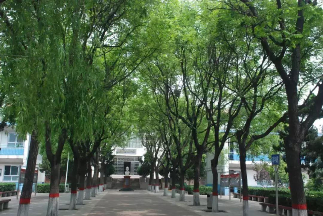 韩城市象山中学杨腾云,韩城市象山中学官网