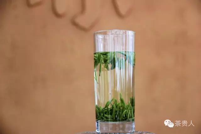 茶眼看陕西,茶眼看中国茶