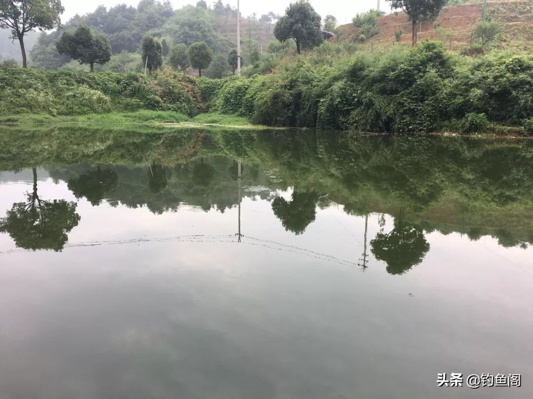 野钓的几个实用的技巧,不打窝野钓技巧和方法