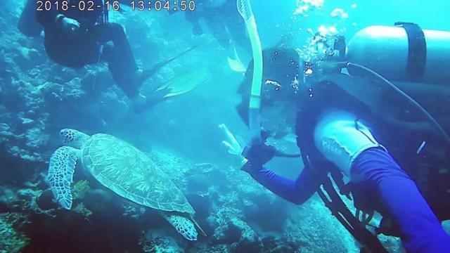 马来西亚初印象,马来西亚沙巴的回忆