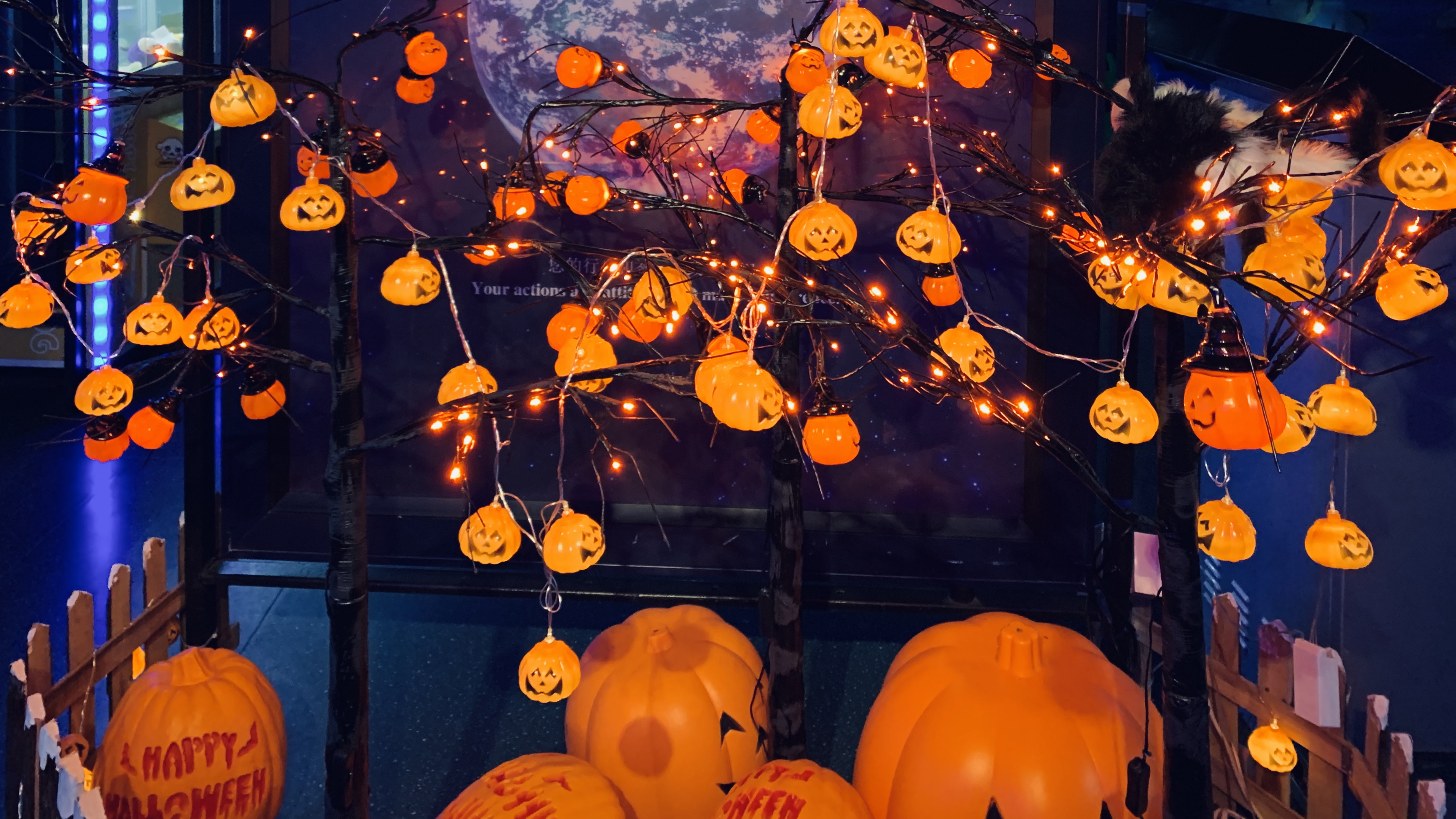 北京富国海底世界周围景点,工体富国海底世界游览攻略