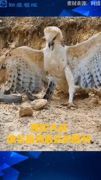 多大的风对风力发电机有影响,风力发电机怎么抵挡超级大风