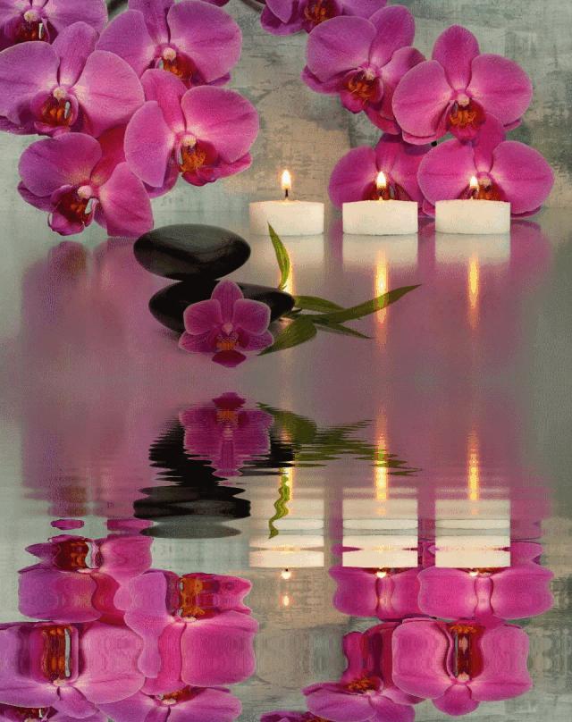 50张极致水中花美照!绝世千年!一次一张!(速看)