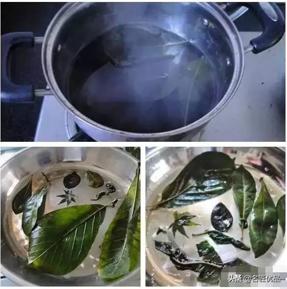 超惊艳的树叶手工,有趣的树叶手工制作