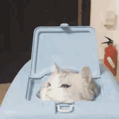 钢铁直男的九大特征咋撩,当钢铁直男听到土味情话