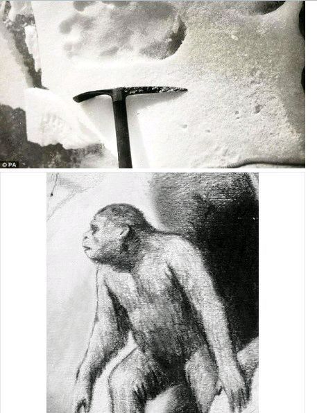 神秘海底生物未解之谜大记录,迷你世界神秘生物未解之谜