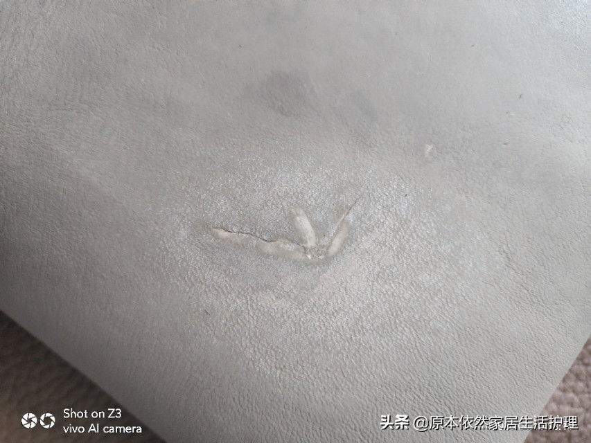 皮具的保养知识,皮具知识视频