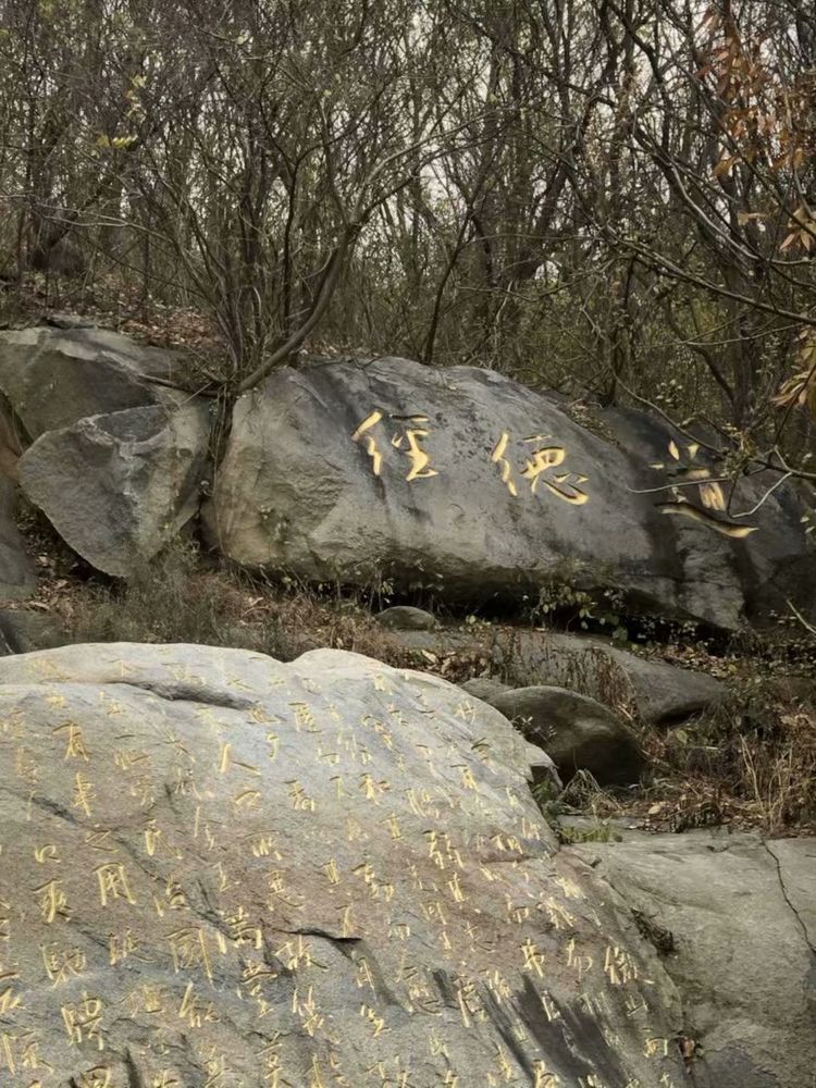 临沭冠山银杏树,临沭冠山道教