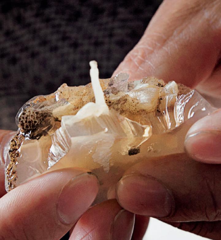 土笋冻的土笋真的是虫吗,土笋冻土丁冻的区别