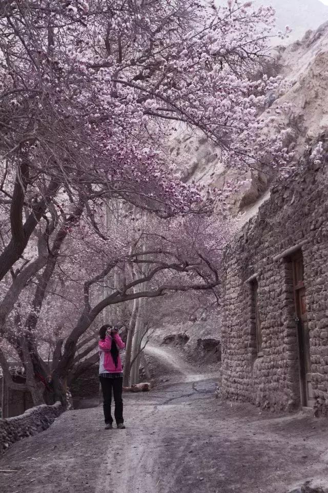 玄奘穿越帕米尔路线,帕米尔高原路线图帕莎古道