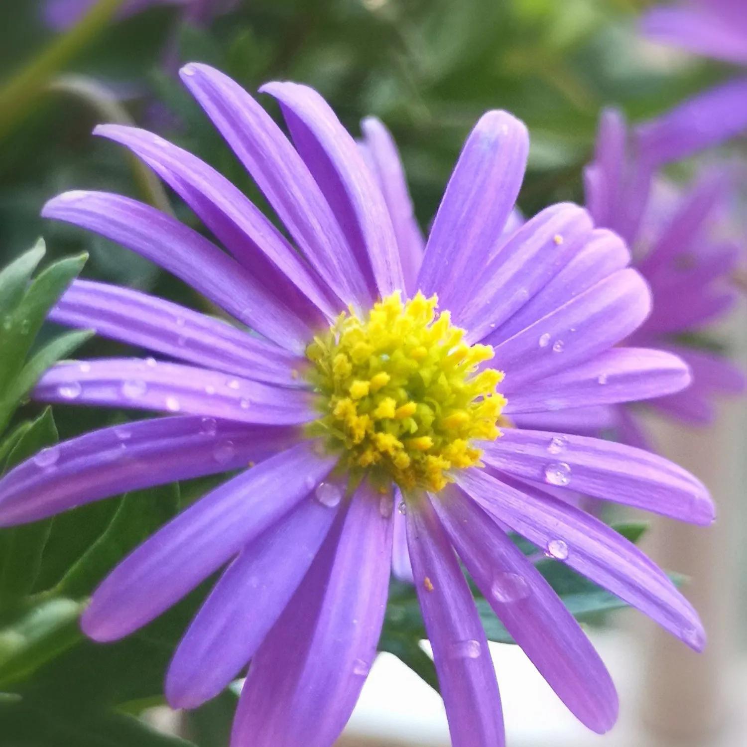 老年大妈相亲奇遇记,六十岁大妈相亲情感故事