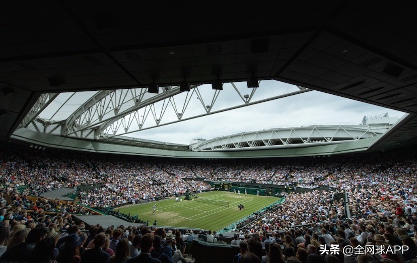 温网草地要求,温网草地怎么不全是绿的