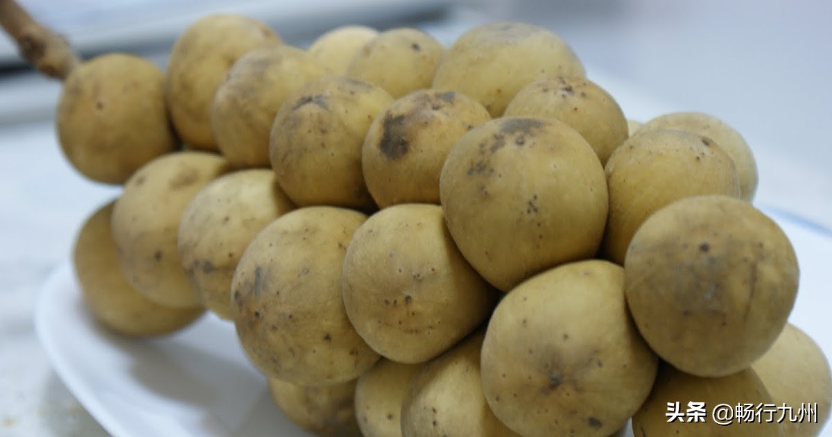 吃过这些水果，才算真正来过马来西亚