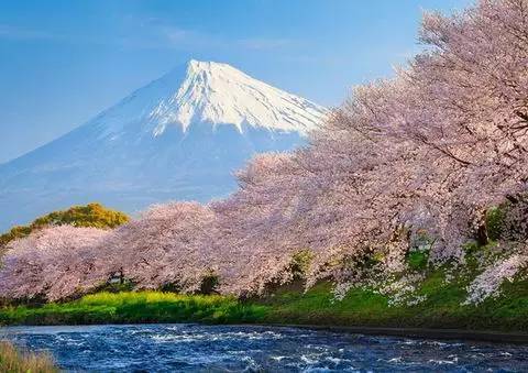 宝玉和源氏出家：不同文化背景下的相同选择