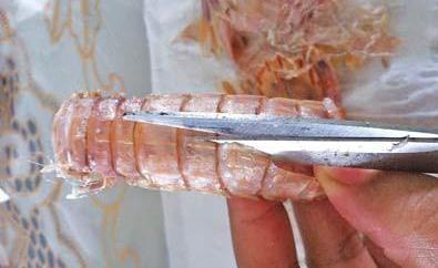 皮皮虾壳上的小孔,快速找到拉链剥皮皮虾视频