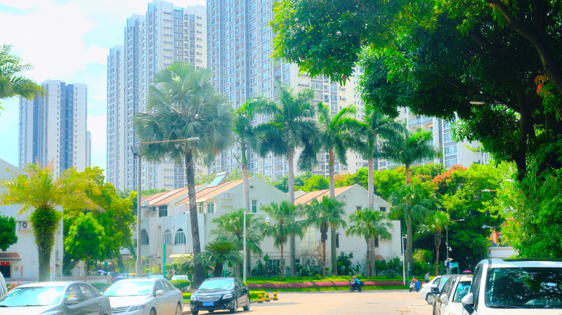 广州长隆住边上民宿方便吗,广州长隆附近亲子民宿推荐一下