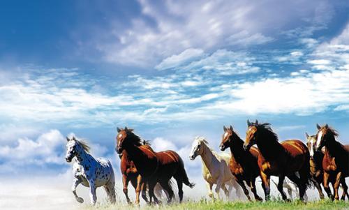 高三高考优秀作文800字5篇,高三优秀作文通用15篇