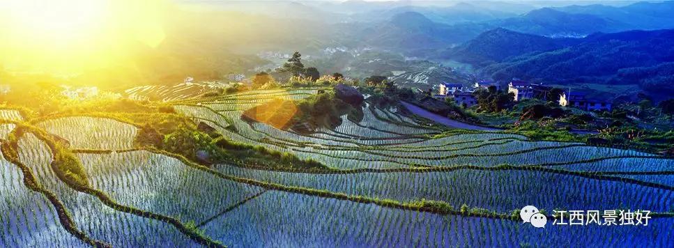 朱虹江西风景独好,朱虹绝代佳人