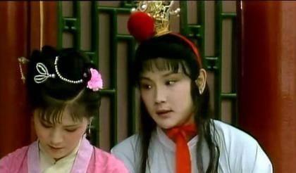 大观园的丫鬟,大观园的丫鬟合集