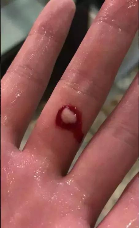 会咬鱼的观赏鱼,观赏鱼哪些不会咬人