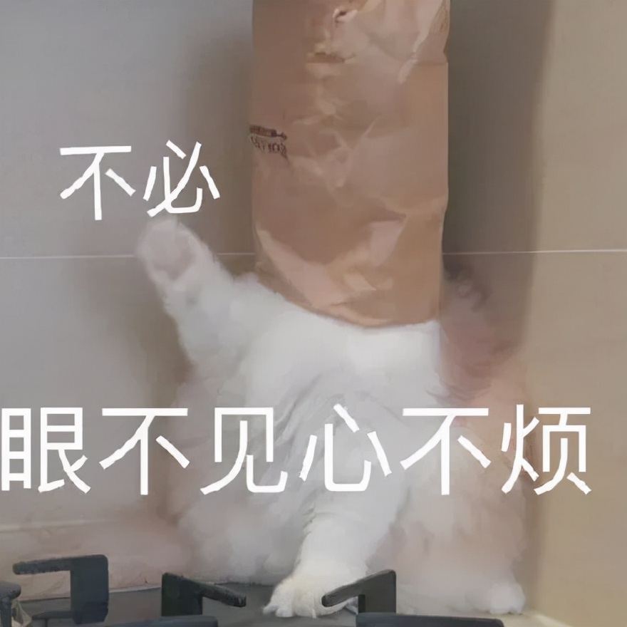 南方养猫跟北方养猫什么区别,北方养猫为什么比南方好