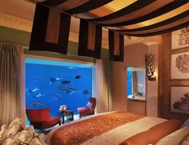 6亿深坑酒店终露真容,上海深坑酒店耗时13年造价21亿