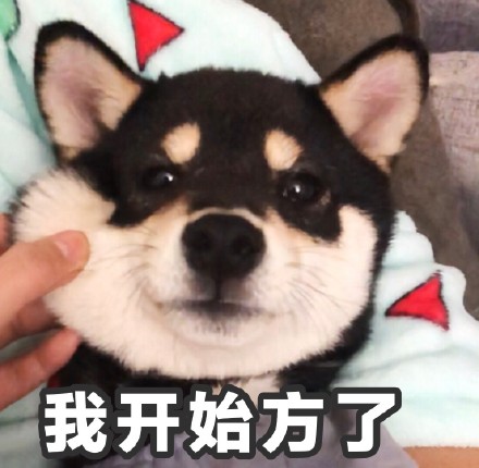 圣诞节表情包微信动态,圣诞节表情包图集可保存